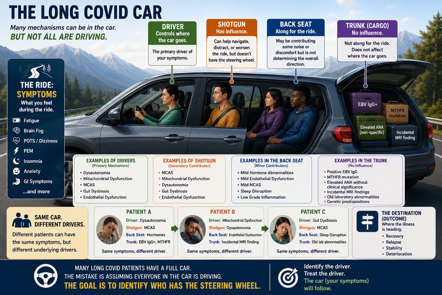 The Long COVID Car analogy: the primary driving mechanism versus secondary contributing mechanisms, illustrated as driver, passenger, back seat, and trunk
