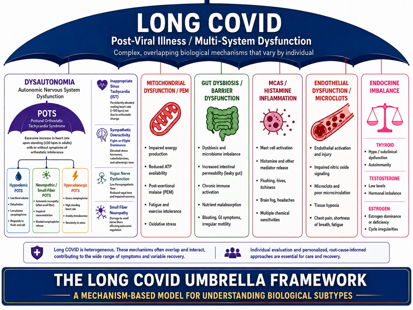 The Long COVID Umbrella Framework: dysautonomia, mitochondrial dysfunction, gut dysbiosis, MCAS, endothelial dysfunction, and endocrine imbalance shown as panels under one umbrella